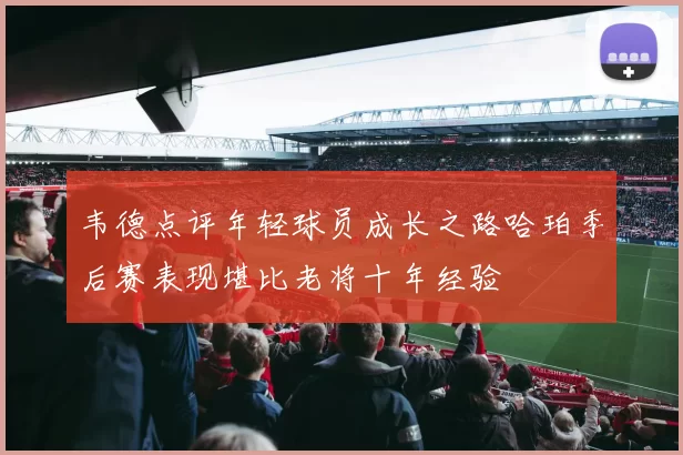 韦德点评年轻球员成长之路哈珀季后赛表现堪比老将十年经验