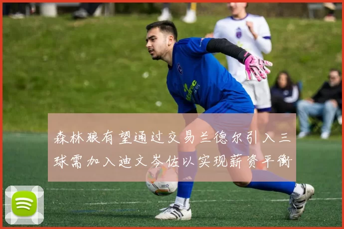 森林狼有望通过交易兰德尔引入三球需加入迪文岑佐以实现薪资平衡